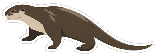 Smooth-coated otter
